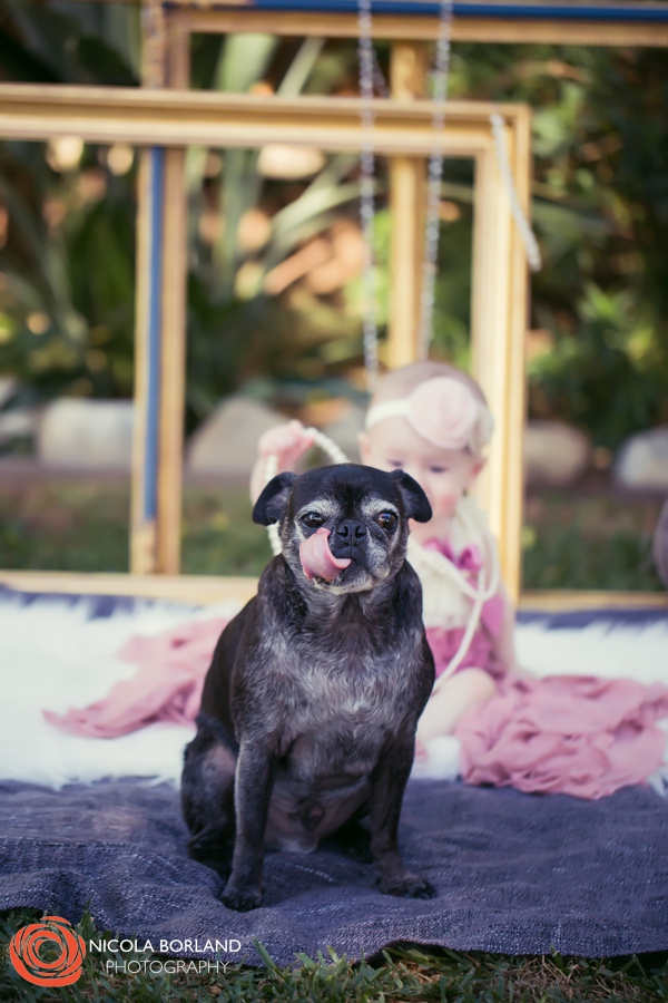 Pasadena Baby Photographer 224