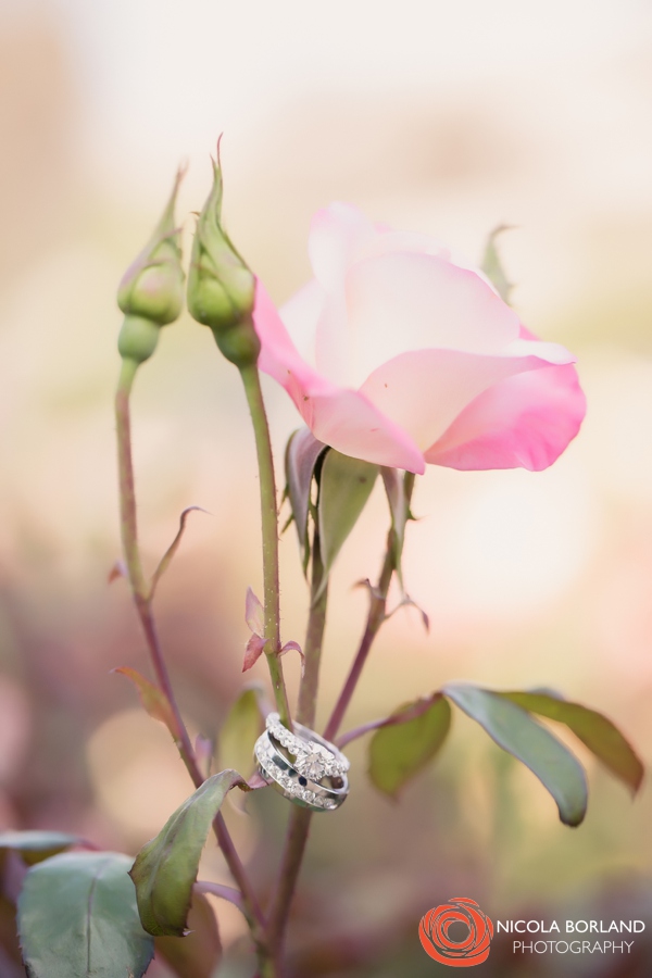 Elopement Wedding_0029