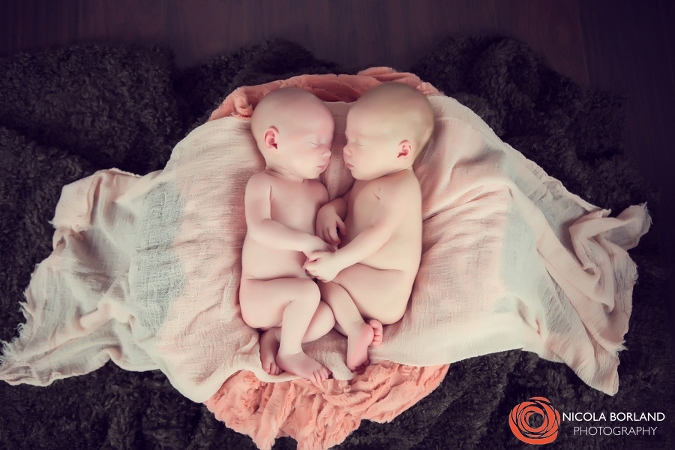 Twin Newborn Photography 01