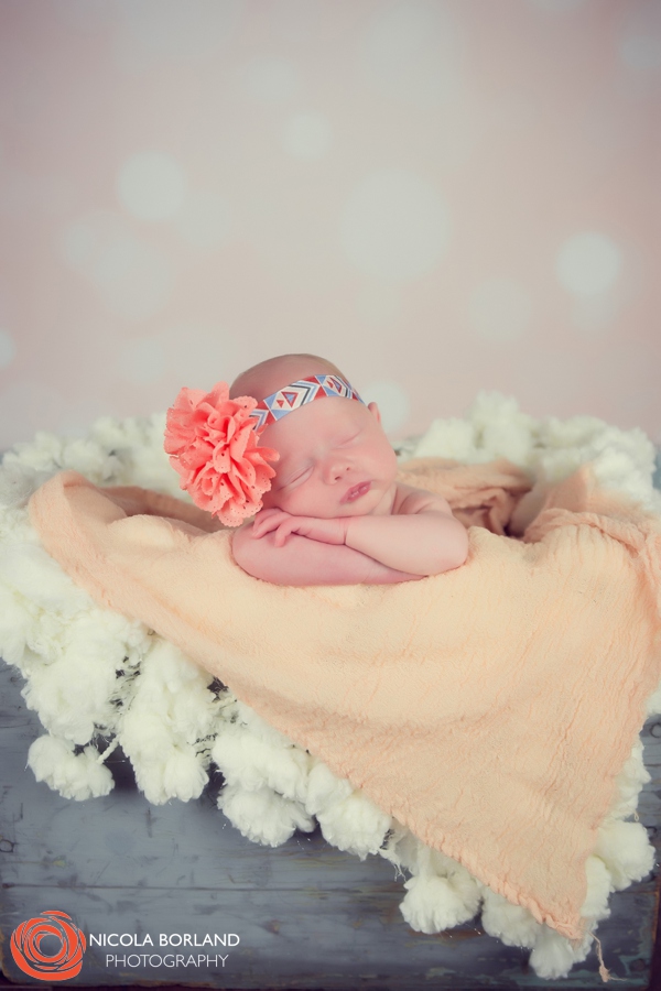 Twin Newborn Photography 08