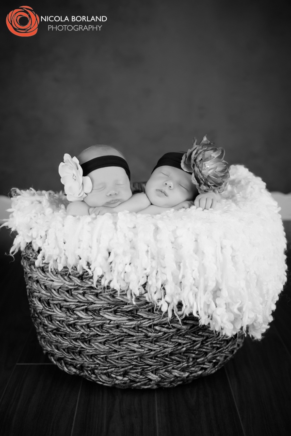 Twin Newborn Photography 11