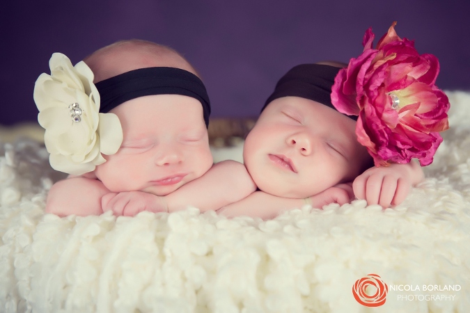 Twin Newborn Photography 12