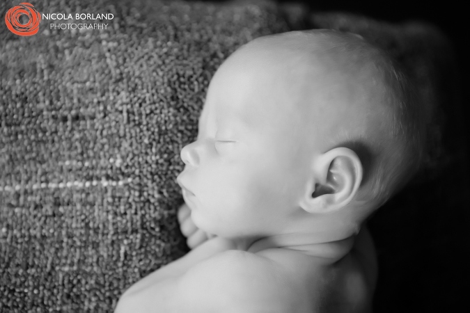 Twin Newborn Photography 16